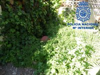 Detenidos seis individuos, cinco de ellos menores, por robar en viviendas a las que accedían desde la fachada