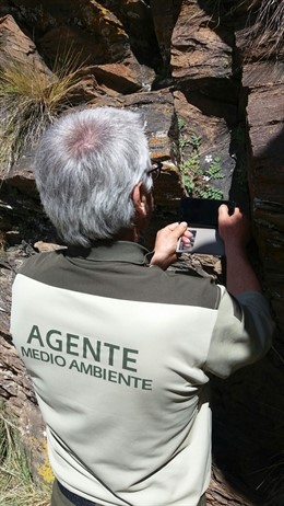 Un agente de Medio Ambiente documenta el hallazgo