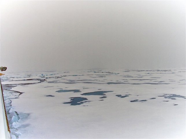 Charcas de agua salpican vastas áreas en el océano Ártico