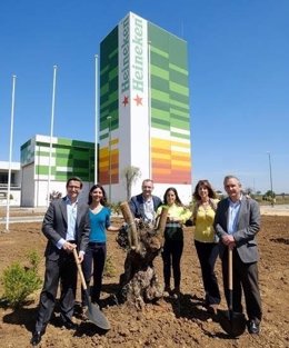 Heineken España en Sevilla plantación de un arbol 