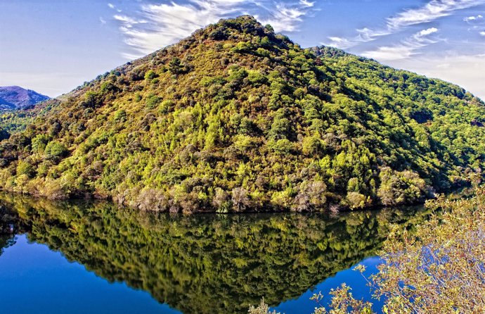 Ribeira sacra