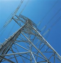 Fiscalía exige medidas para evitar la electrocución de aves en La Safor