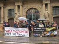Libertad Animal Navarra reclama un "endurecimiento" de las leyes sobre maltrato animal
