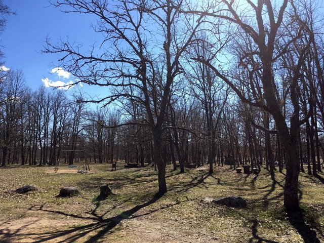 Salamanca.- Nava de Francia