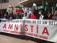 Unas 50 personas arreglan olivos de la finca ocupada en Jaén por el SAT