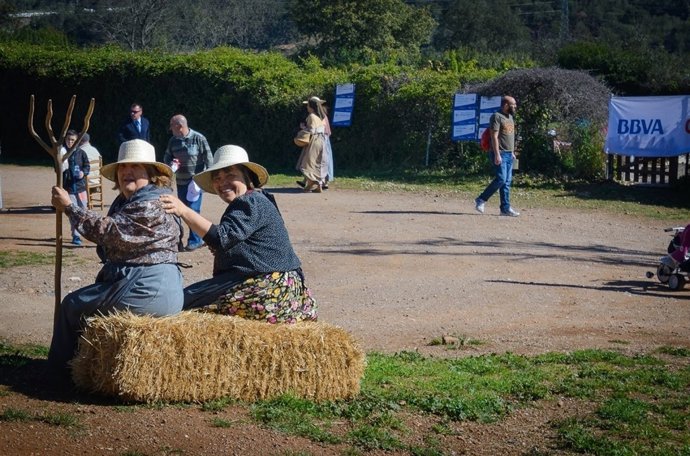 XX Fiesta BBVA de Primavera en Sabadell (Barcelona)