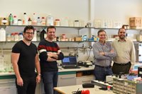 Desarrollan un prototipo a escala de laboratorio para el tratamiento de tumores cutáneos