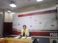 PSOE CLM dice que "no ha avanzado nada concreto con el PP" sobre presupuestos y confía que "se imponga el sentido común"