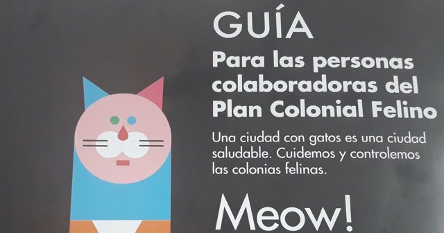 Plan Colonial Felino