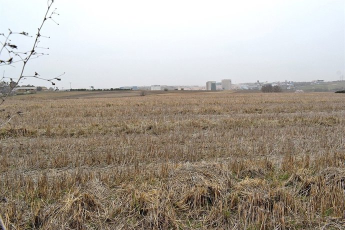 Terrenos de Alcobendas