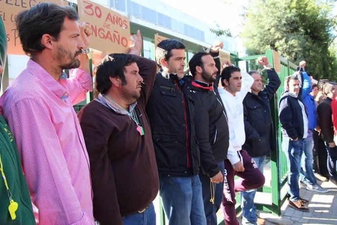 Agricultores encadenados en la puerta de la Junta de Andalucía en Huelva.