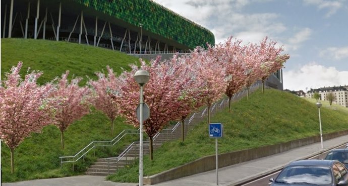 Arboles en Miribilla