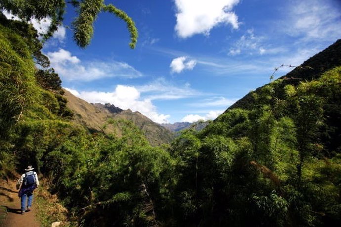Viajero haciendo trekking en selva de Perú