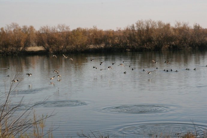 Reserva ornitológica Los Charcones