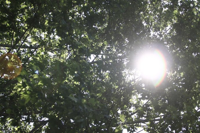 Recursos de sol, calor, bon temps 