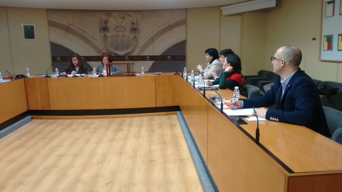 Comisión Villamediana en el Parlamento