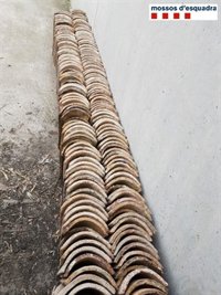 Detenido un hombre por robar tejas de dos viviendas de Ciutadilla (Lleida)