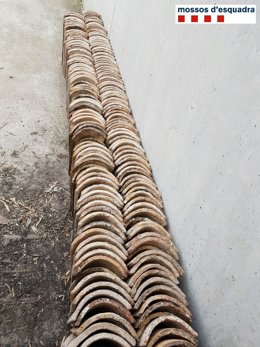 Teules robades a Ciutadilla
