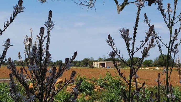 Casa donde han encontrado a una madre y su hija ahorcadas