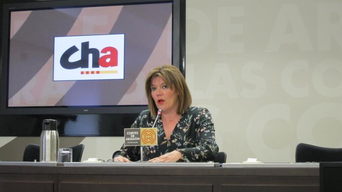 La portavoz de CHA en las Cortes, Carmen Martínez