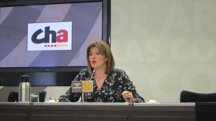 La portavoz de CHA, Carmen Martínez, en las Cortes