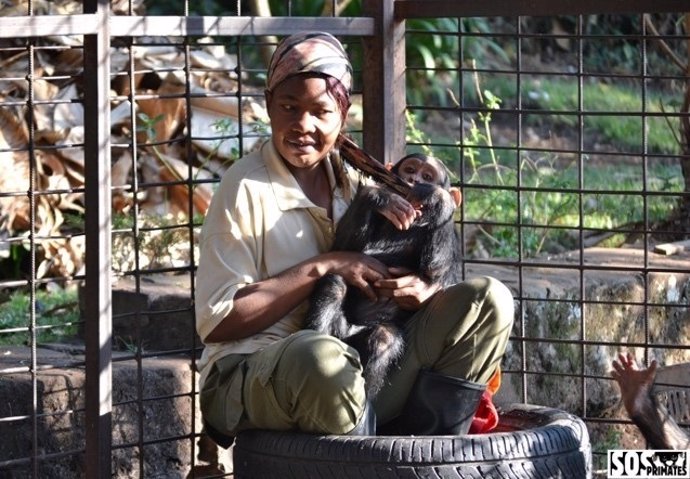 El Zoo envia al Congo equipament per a cuidadors de primats