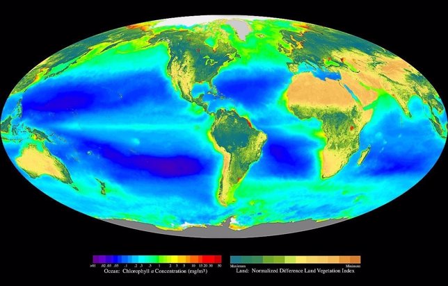 Distribución global de la fotosíntesis
