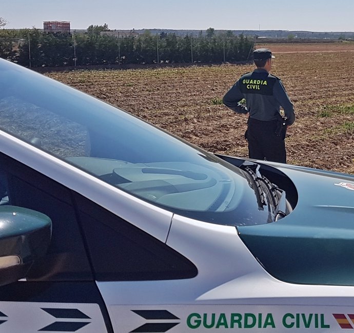 La Guardia Civil Investigó A Dos Vecinos De Badajoz Por La Sustracción De 700 Ki