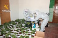 Detenida una persona por tráfico de drogas en Velada