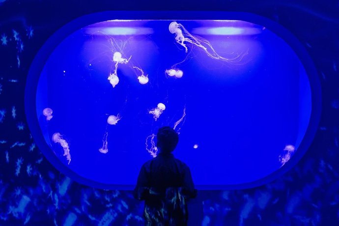 Vídeo de la noticia