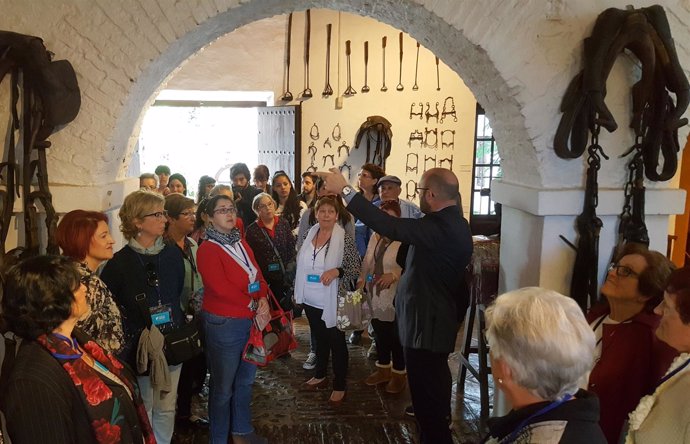 Fundación Unicaja y Vértice Salud visitas culturales mayores museos málaga 