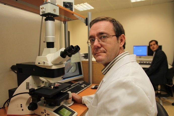 Investigadores CIBIR sobre tratamiento cáncer de colon