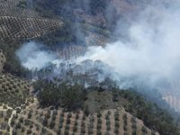 Medios del Infoca trabajan en la extinción de un incendio forestal en Siles