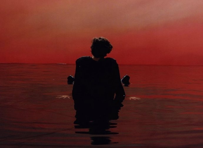 HARRY STYLES SIGN OF THE TIMES