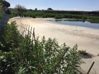 PP de Alcalá de Guadaíra exige al Gobierno socialista que intervenga ante un posible vertido ilegal de purines