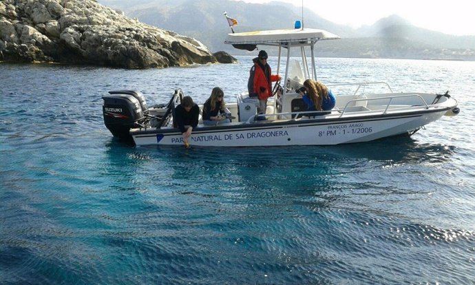 Momento de la liberación de dos tortugas marinas en el Parque de Sa Dragonera