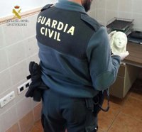 Un detenido por el robo de la cabeza y manos de la Virgen de Lourdes de Higuera de la Sierra