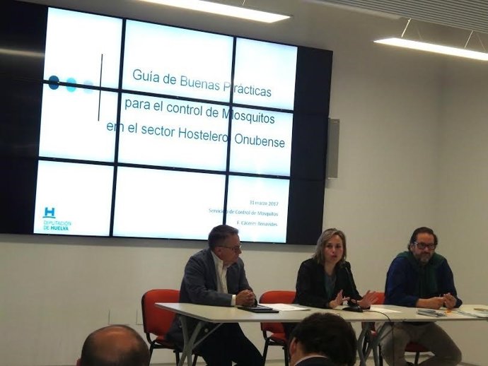 La diputada de Infraestructuras, Medio Ambiente y Planificación, Laura Martín.