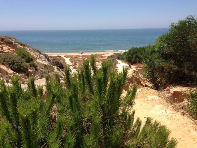 Playa de la Fontanilla, en Mazagón (Huelva)