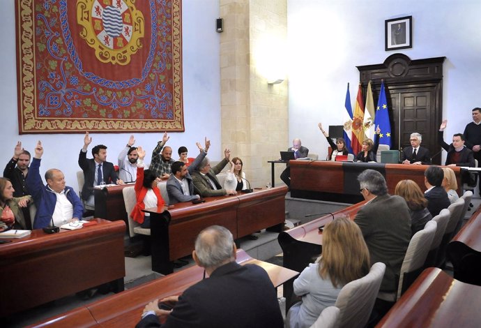 Pleno en el Ayuntamiento de Jerez