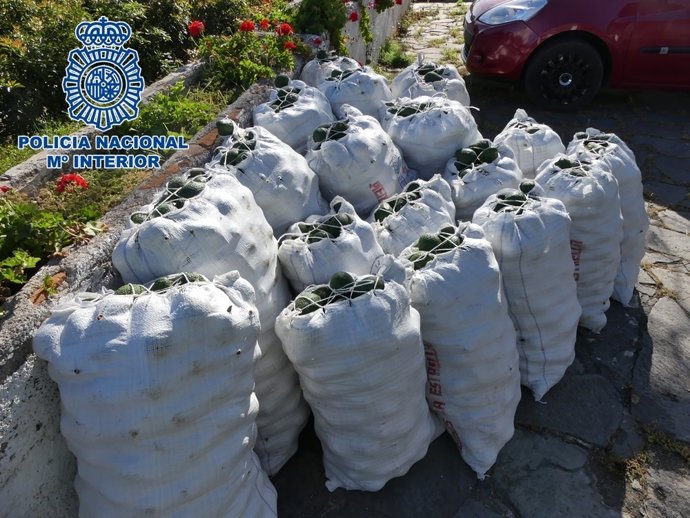 Nota De Prensa "La Policía Nacional Ha Evitado El Robo De 1.400 Kg De Aguacates 