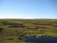 Primera huella isotópica de óxido nitroso en suelo ártico