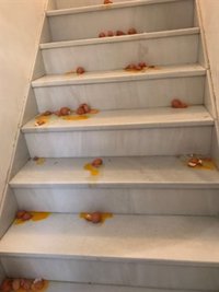 PSOE de Huelva lamenta los ataques sufridos en las viviendas del secretario general y de la delegada de Medio Ambiente