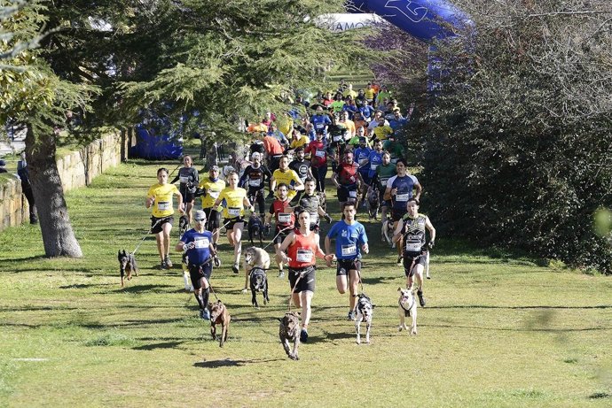 Canicross