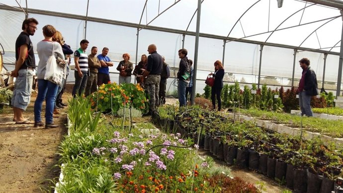 Diputación de Córdoba pone en valor variedades hortícolas de la provincia