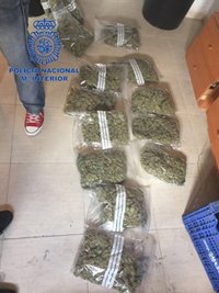 Detenida una mujer de 50 años en Manises por cultivar 217 plantas de marihuana