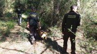 Agentes de Medio Ambiente y Guardia Civil investigan cotos de caza de Menorca en busca de veneno para animales