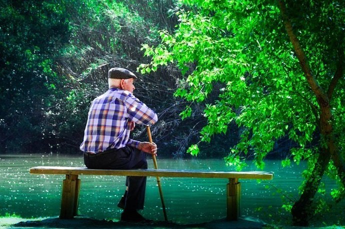 Anciano, mayor, meditando, meditar, lago, banco, sentado