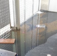 Denuncian un "atasco de aguas fecales" en un bloque de VPO del Polígono Sur de Sevilla