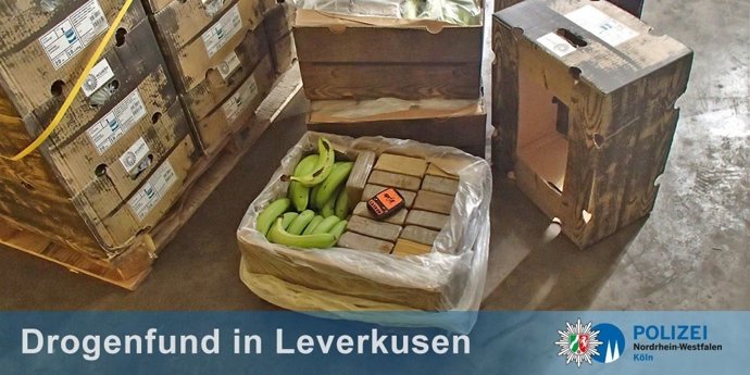 Encuentran 400 kilos de cocaína en un cargamento de plátanos 